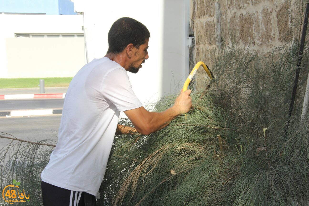 lajna ekram j83 (37).jpg